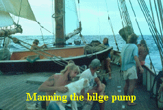 Klaraborg- Crew on Deck 1975 Pacific.jpg (114127 bytes)