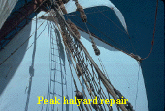 Klaraborg-Repair to Peak Halyard Block.jpg (125778 bytes)