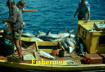 Klaraborg - Fishermen FDN.jpg (124220 bytes)